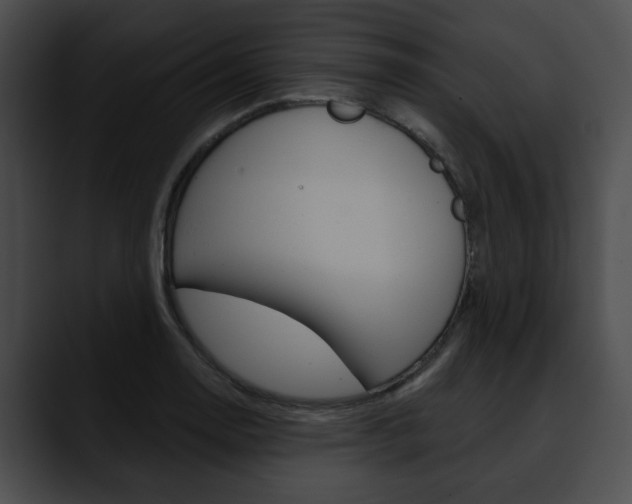 X0000090611130200707171039