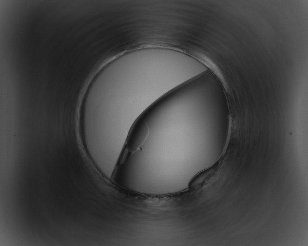 X0000090611146200707171039