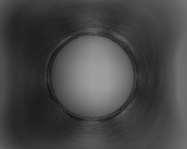 X0000090611170200707171039