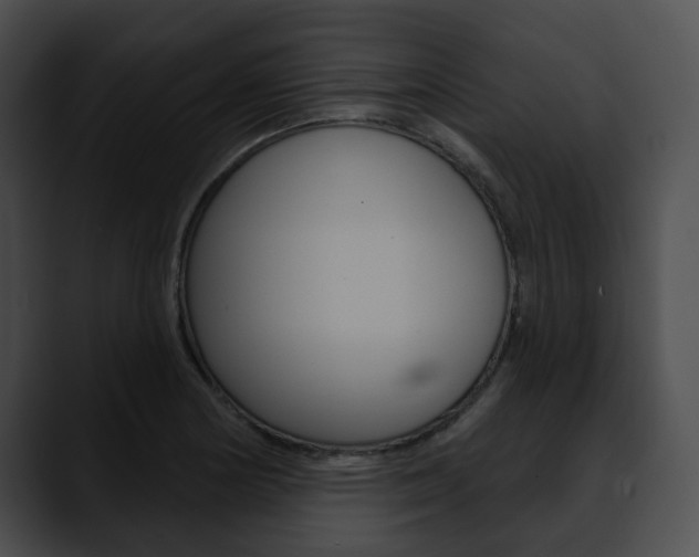 X0000090611178200707171038
