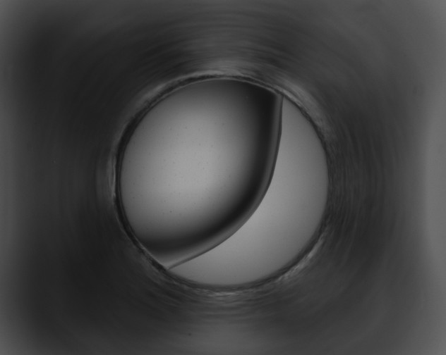 X0000090611180200707171038