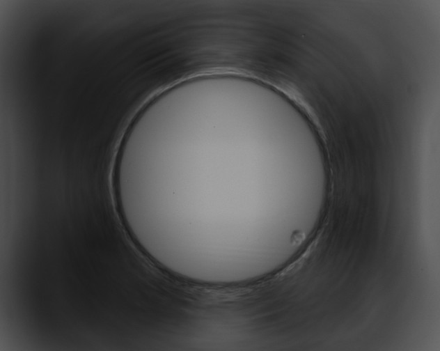 X0000090611181200707171038