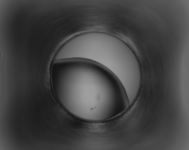 X0000090611184200707171038