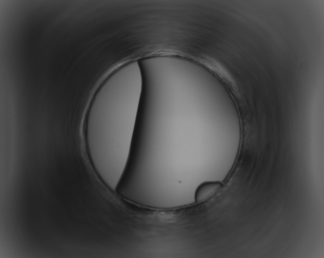 X0000090611190200707171038