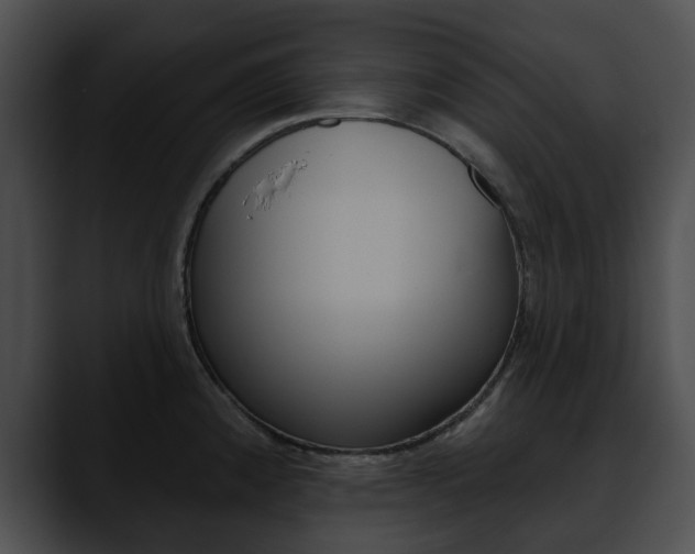 X0000090611192200707171038