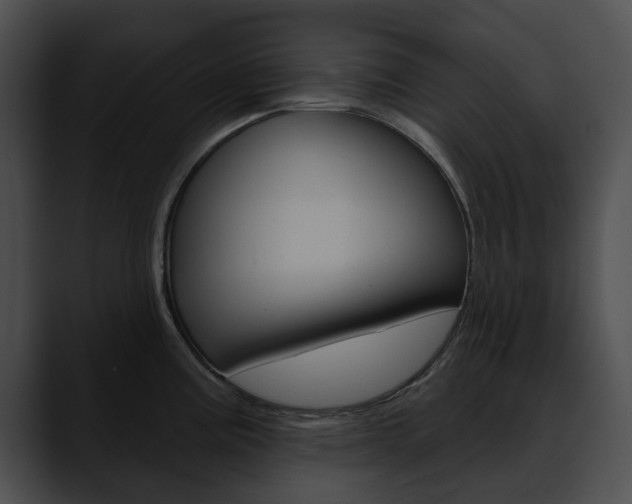 X0000090611195200707171038
