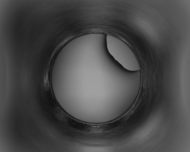 X0000090611198200707171038