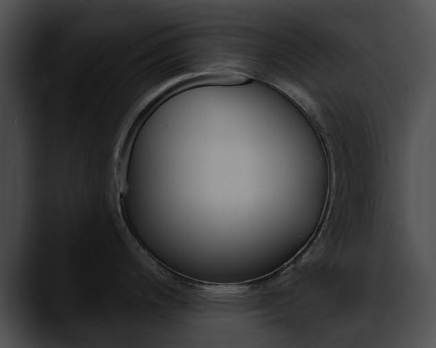 X0000090611200200707171038