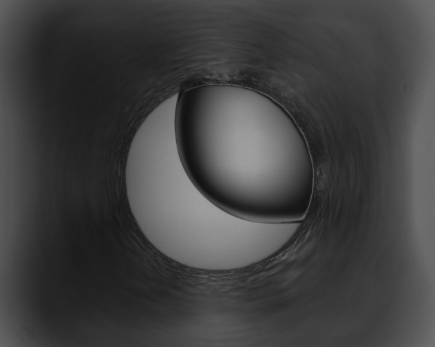 X0000090611202200707171038