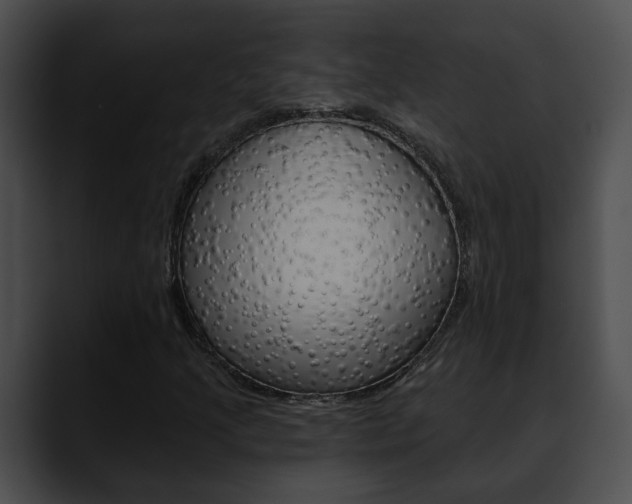 X0000090611205200707171038