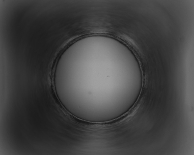 X0000090611212200707171038