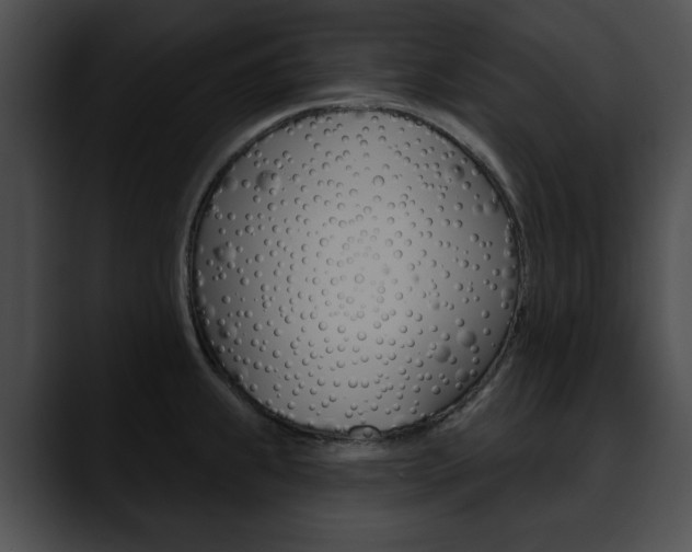 X0000090611239200707171038