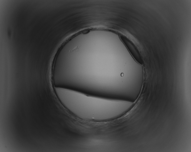 X0000090611240200707171038