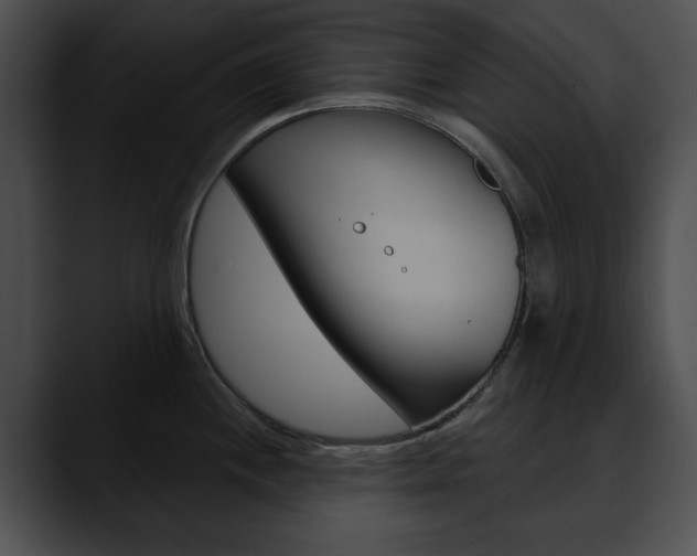 X0000090611244200707171038