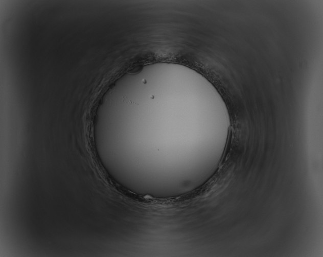 X0000090611249200707171038
