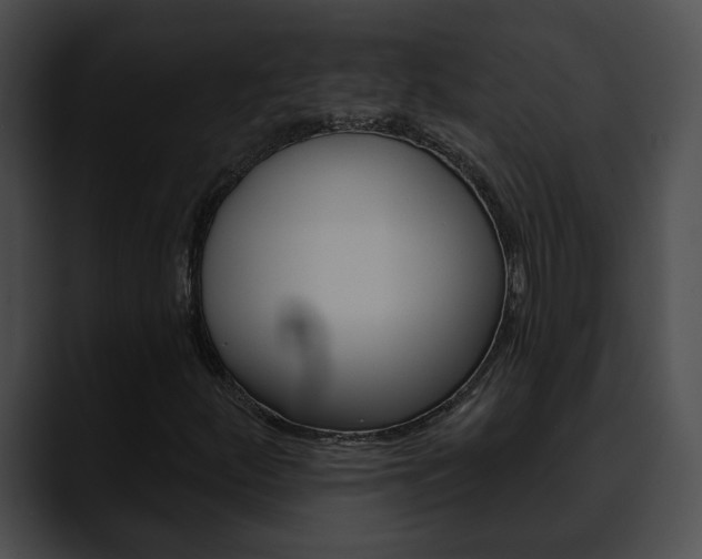 X0000090611252200707171038