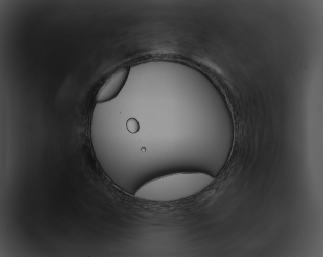 X0000090611255200707171038
