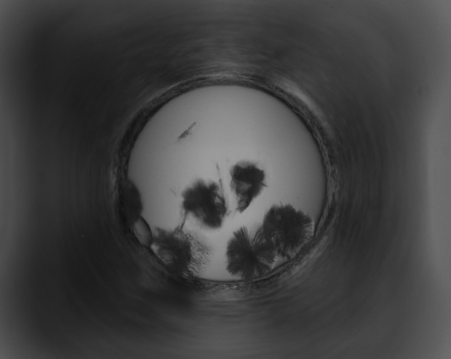 X0000090611259200707171038