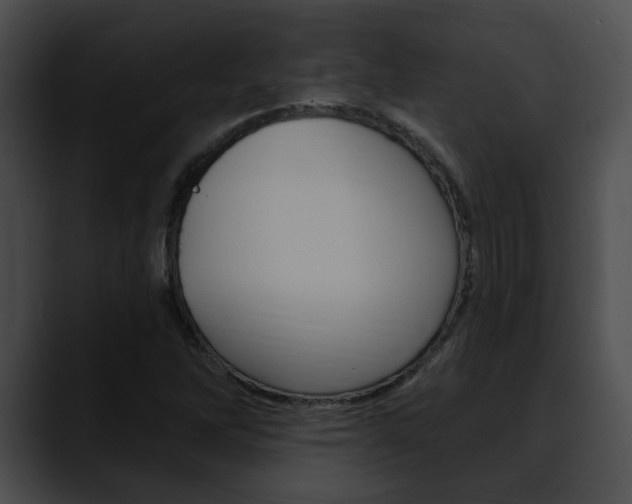 X0000090611262200707171037