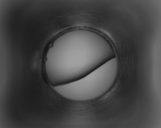 X0000090611263200707171037