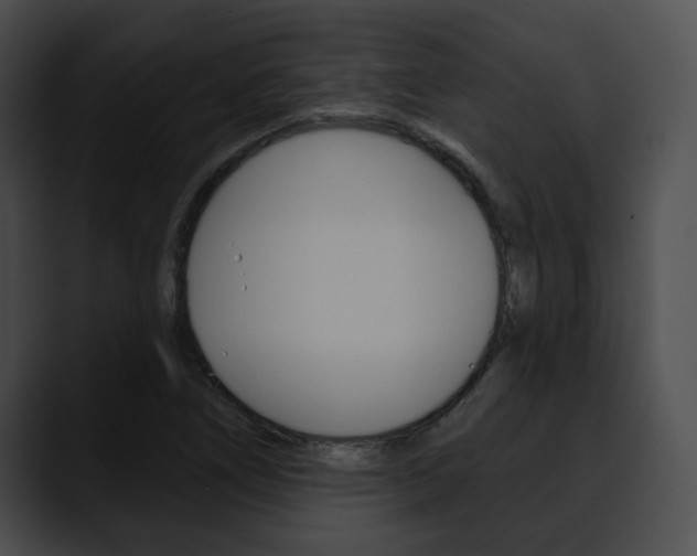 X0000090611266200707171037