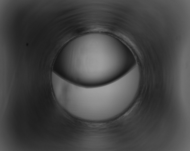 X0000090611281200707171037
