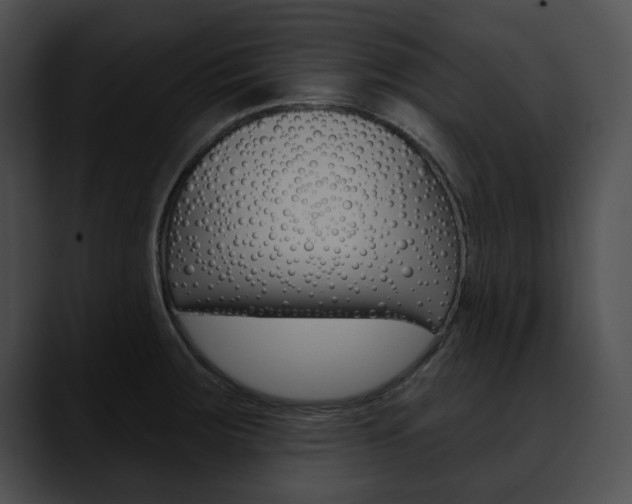 X0000090611283200707171037