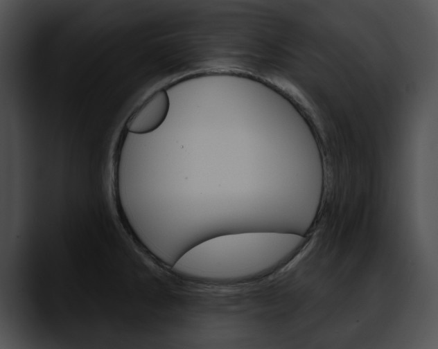 X0000090611286200707171037