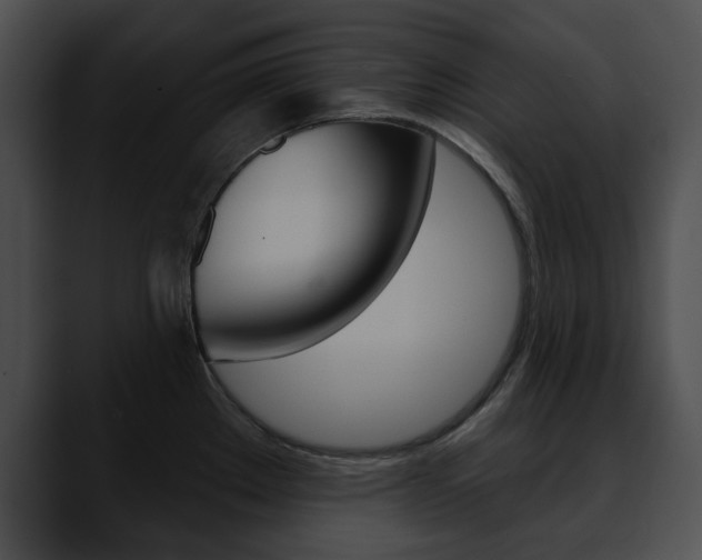 X0000090611289200707171037