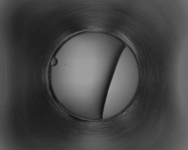 X0000090611291200707171037