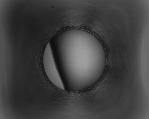 X0000090611297200707171037