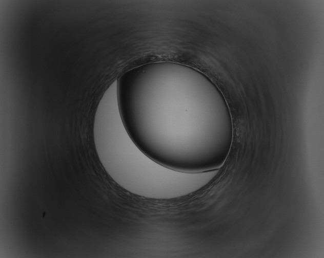 X0000090611298200707171037