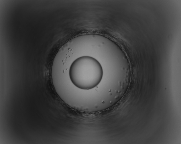 X0000090611302200707171037