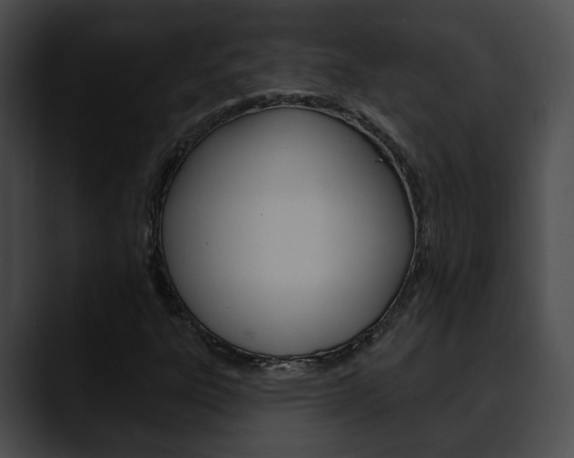 X0000090611303200707171037