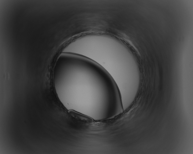 X0000090611304200707171037
