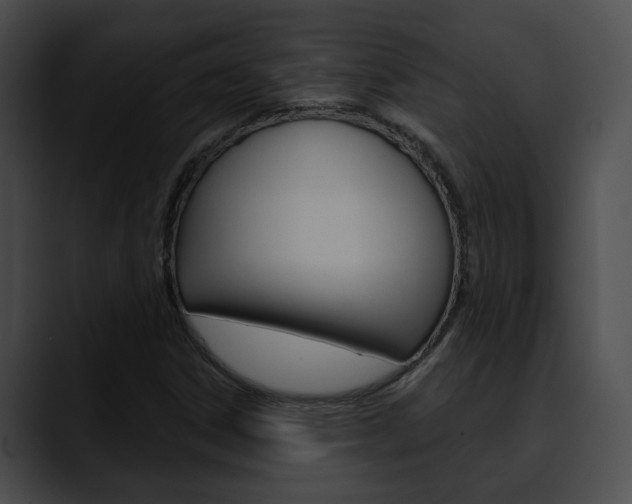 X0000090611306200707171037