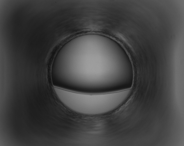 X0000090611307200707171037