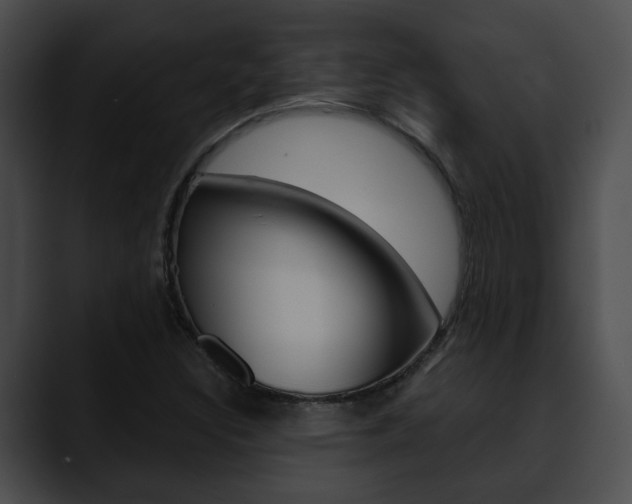 X0000090611308200707171037