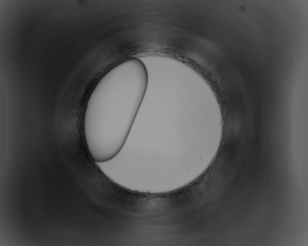 X0000090611314200707171037