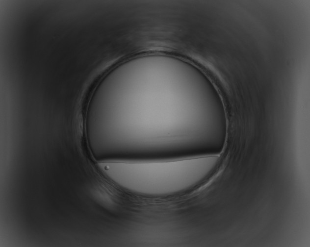 X0000090611317200707171037