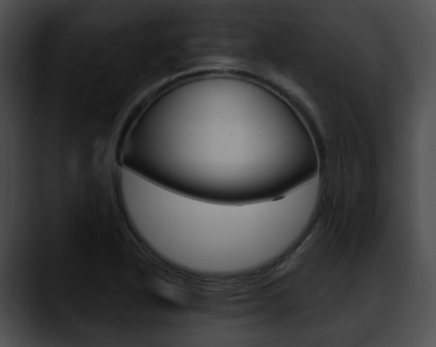 X0000090611318200707171037