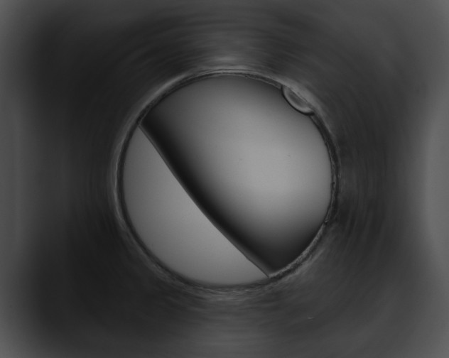 X0000090611333200707171037