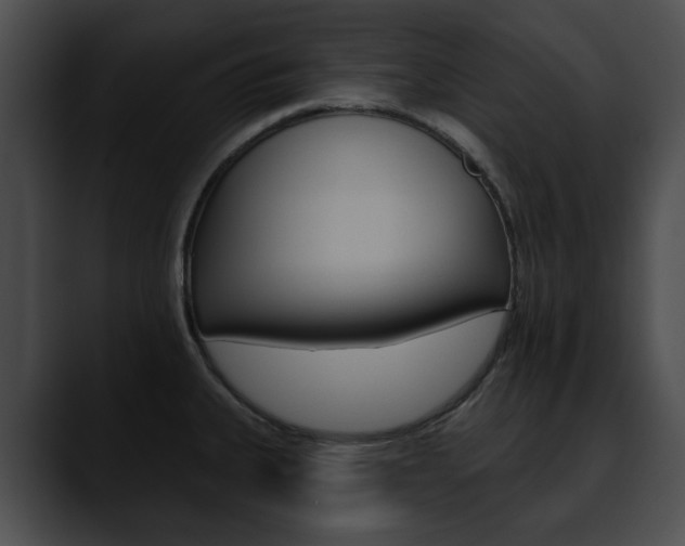 X0000090611335200707171037