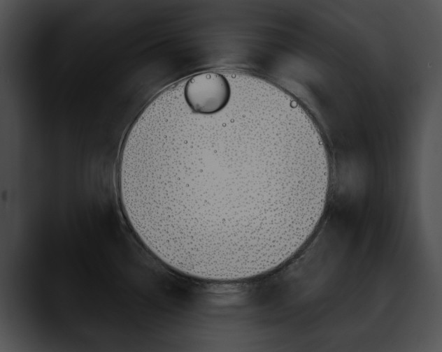 X0000090611338200707171037