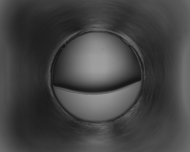 X0000090611341200707171037