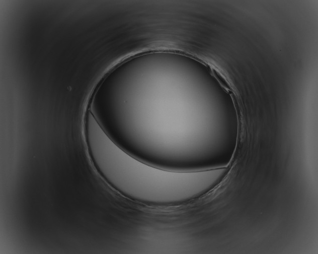 X0000090611342200707171037