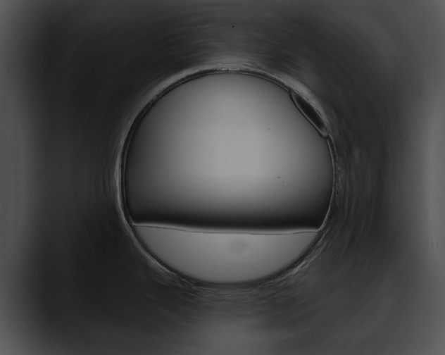 X0000090611343200707171037
