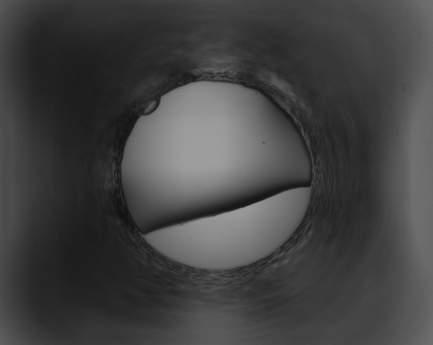 X0000090611350200707171036