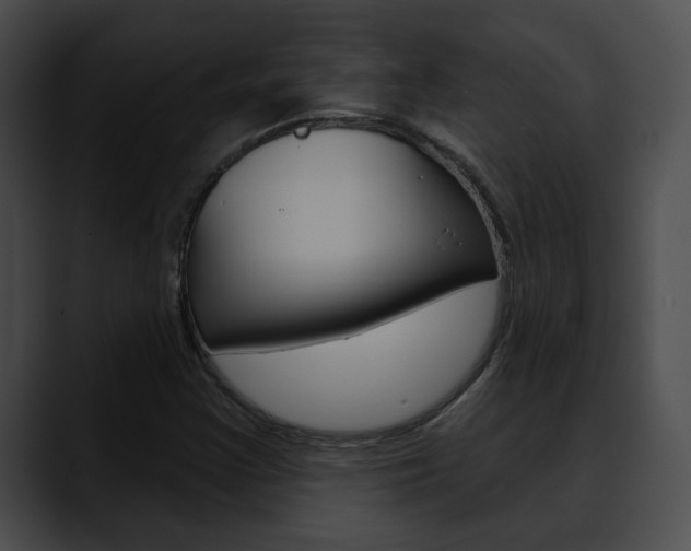 X0000090611355200707171036