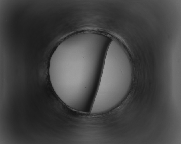 X0000090611359200707171036